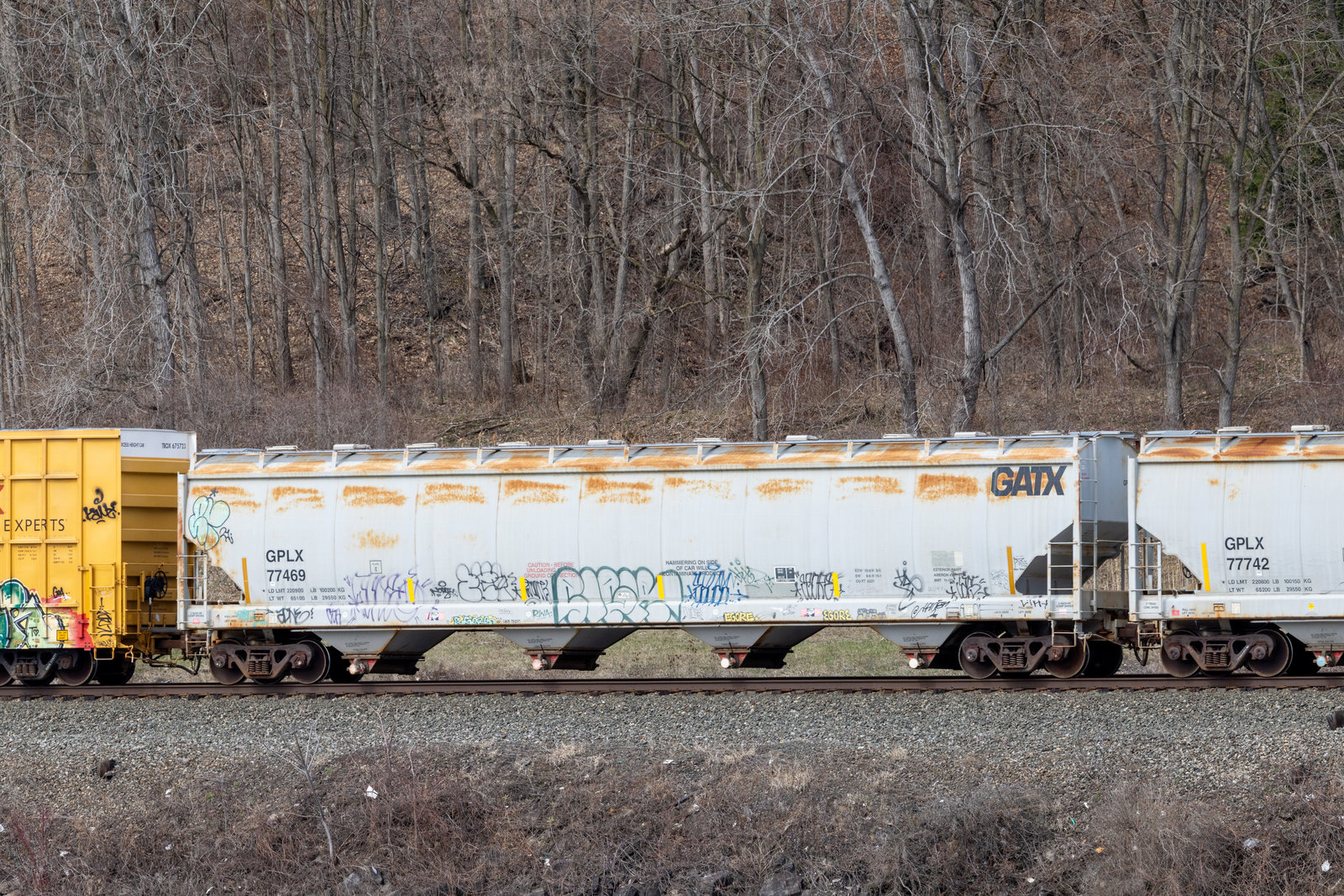 GPLX 77469