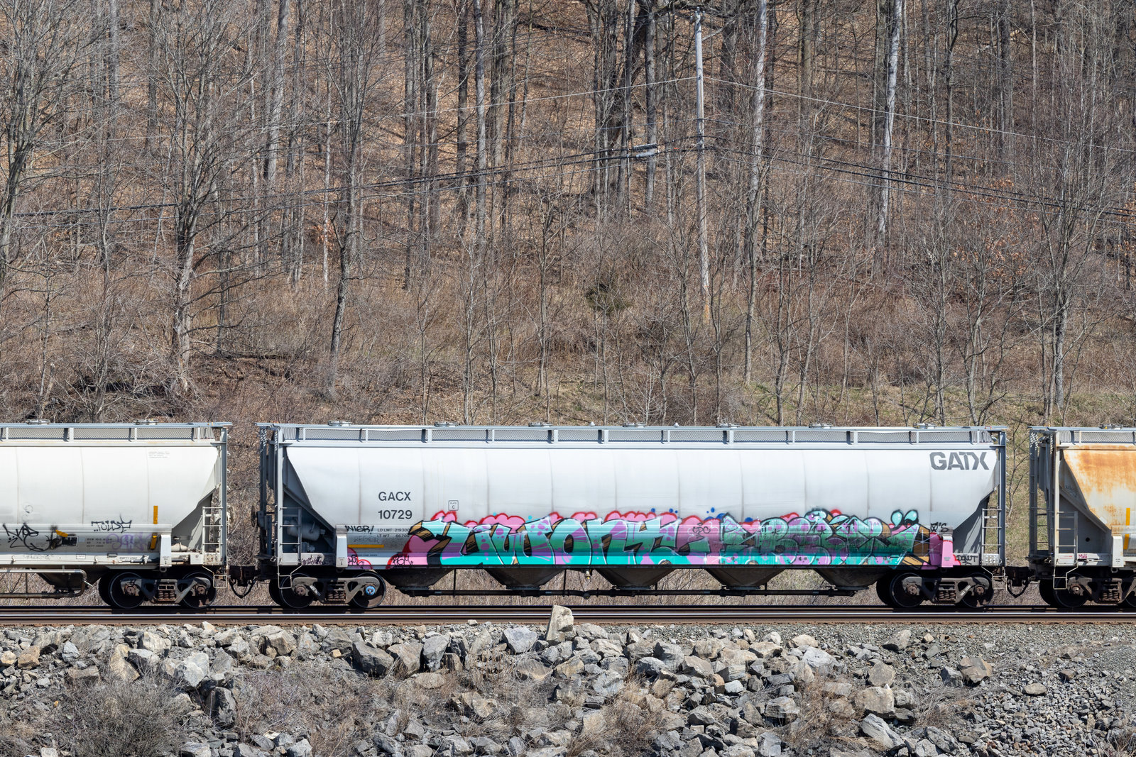 GACX 10729