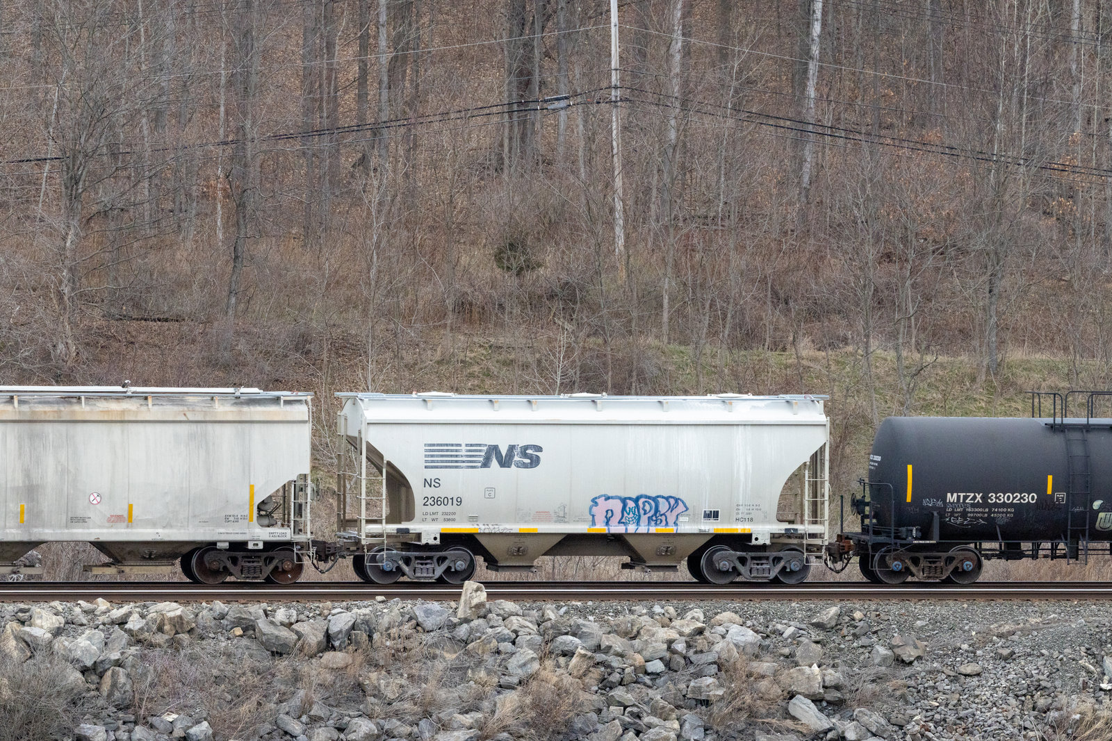 NS 236019