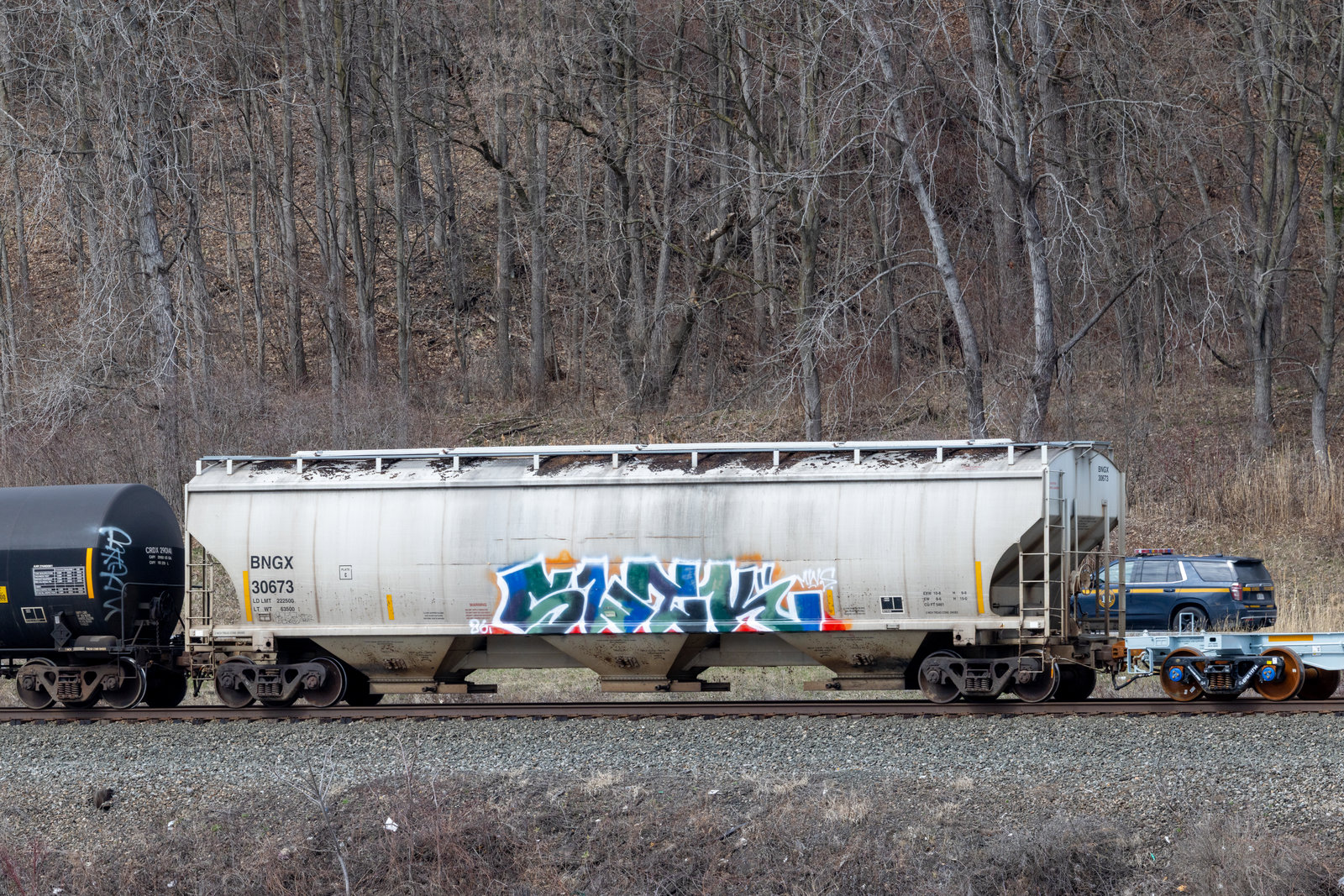BNGX 30673