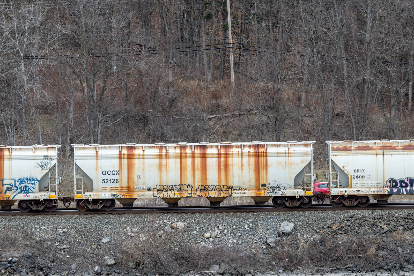 OCCX 52126