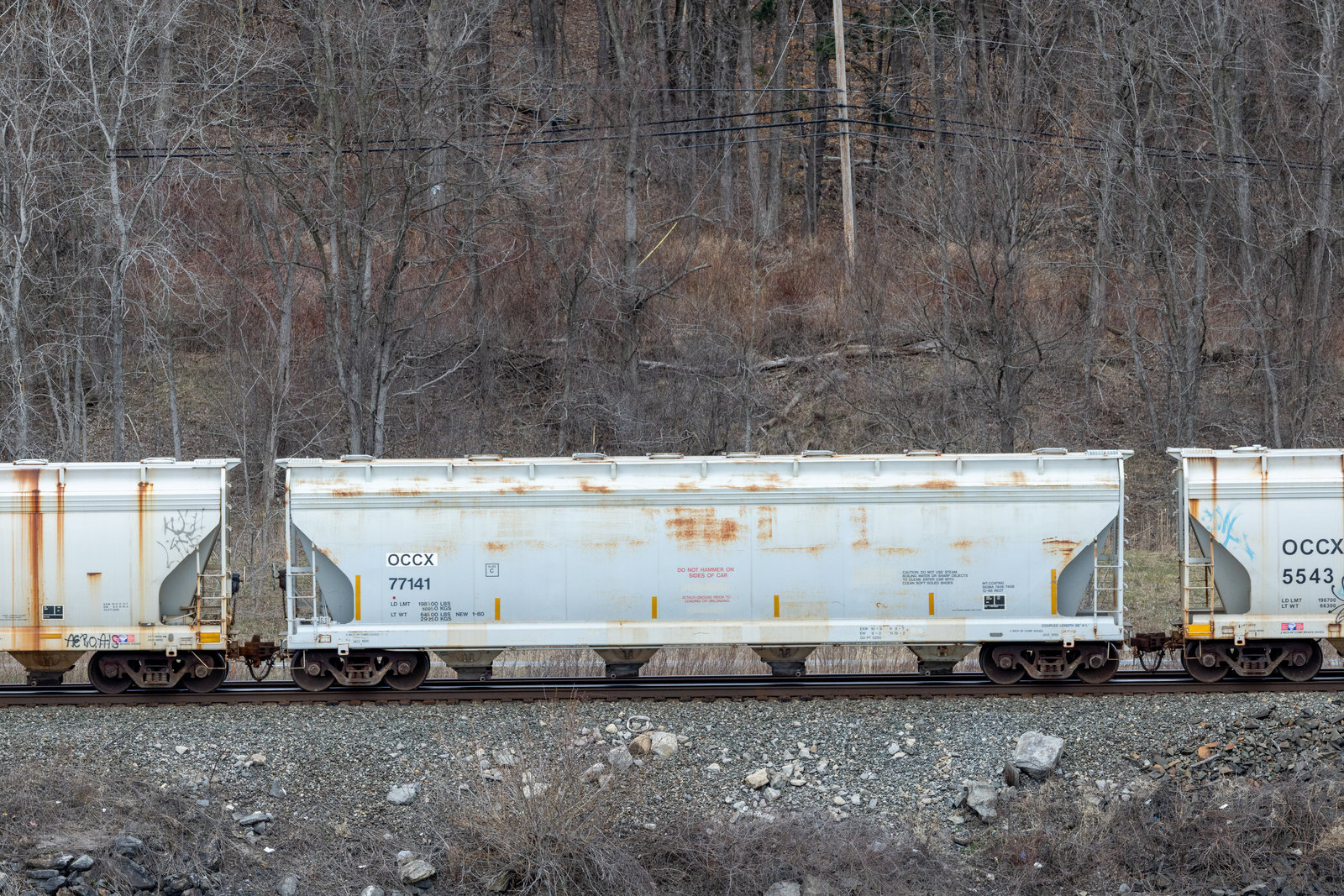 OCCX 77141