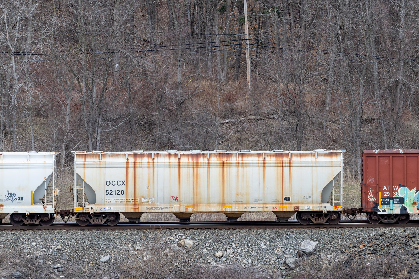 OCCX 52120