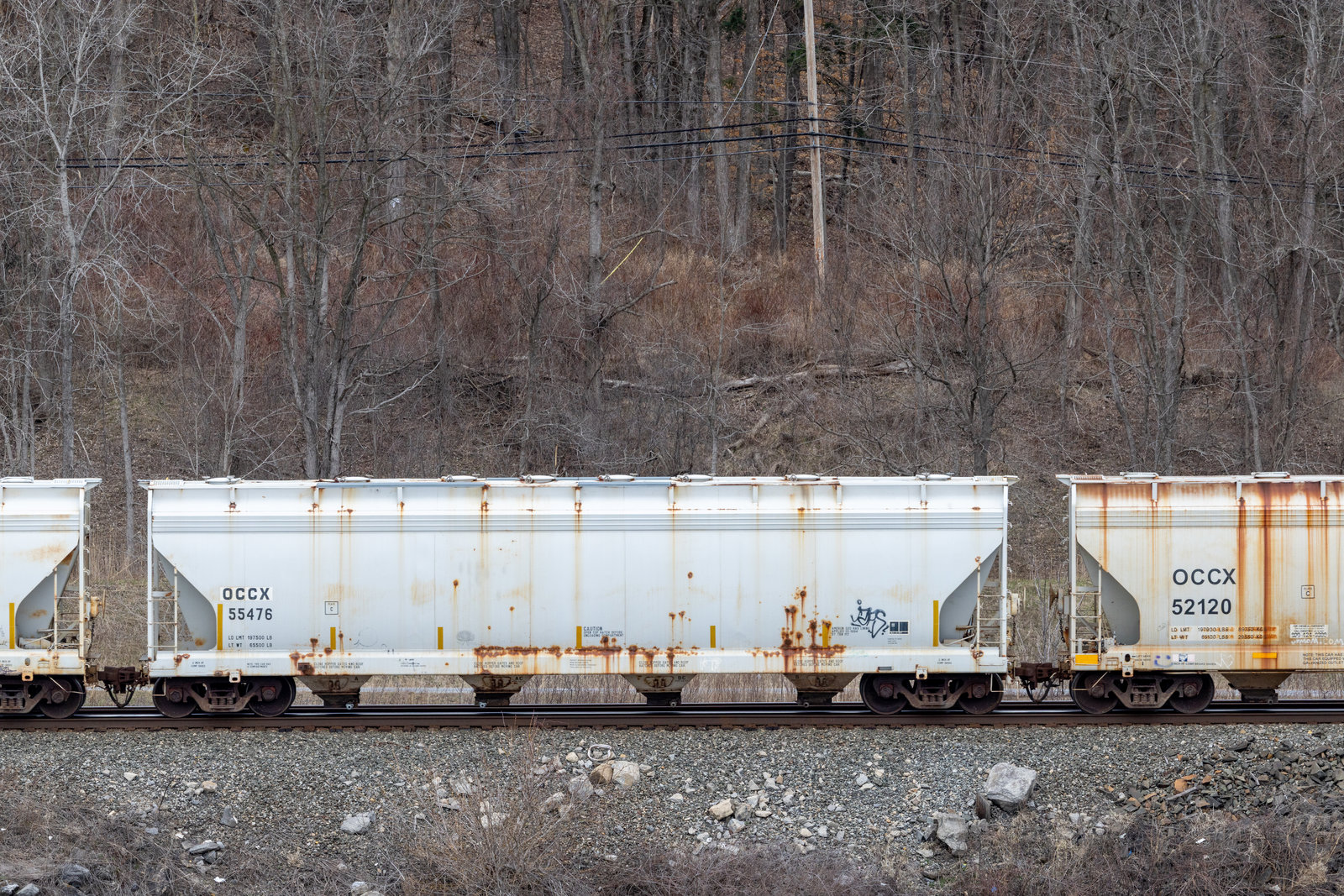 OCCX 55476