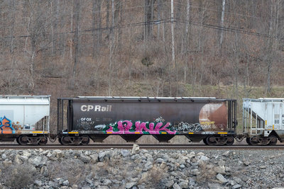 OFOX 385447