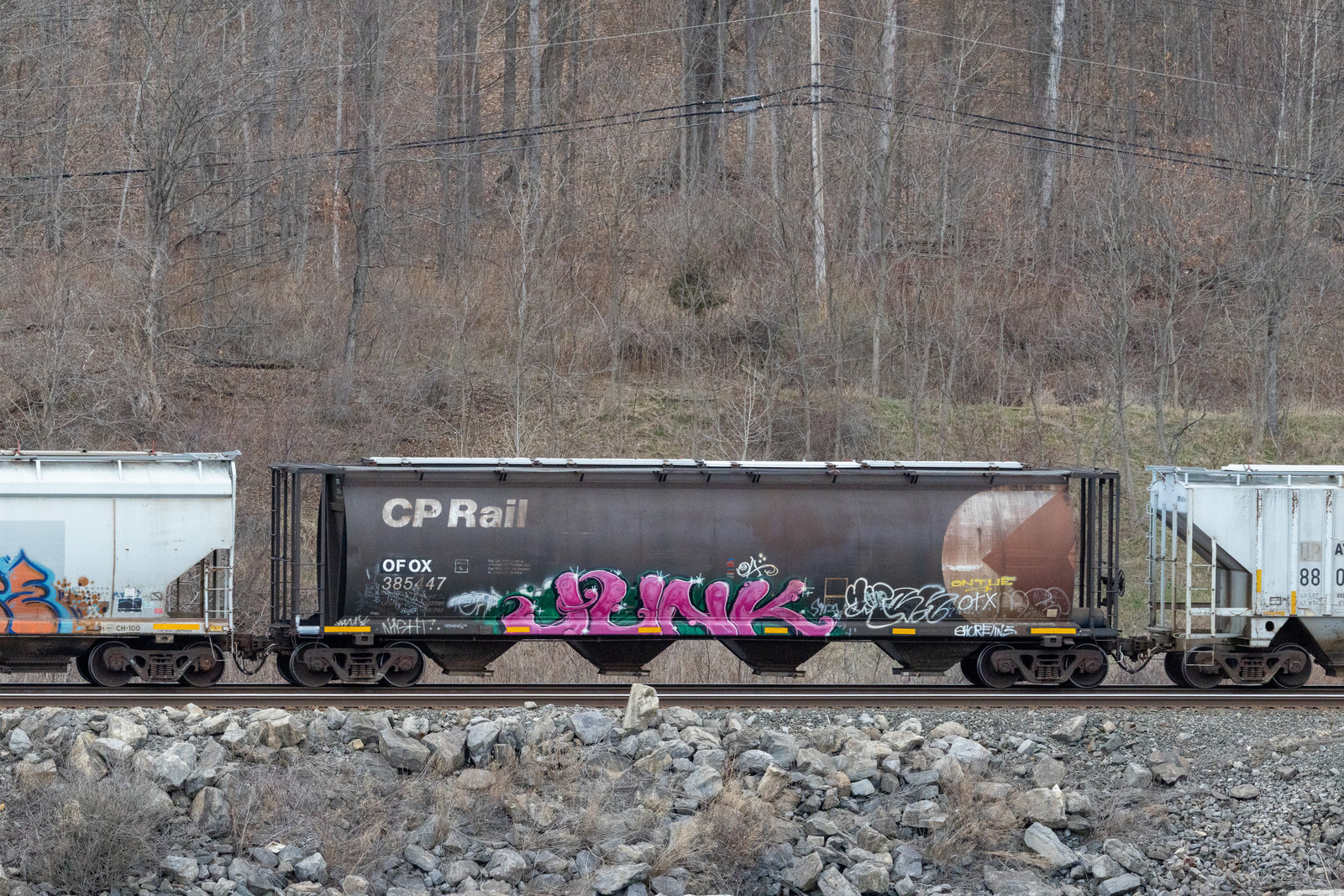 OFOX 385447