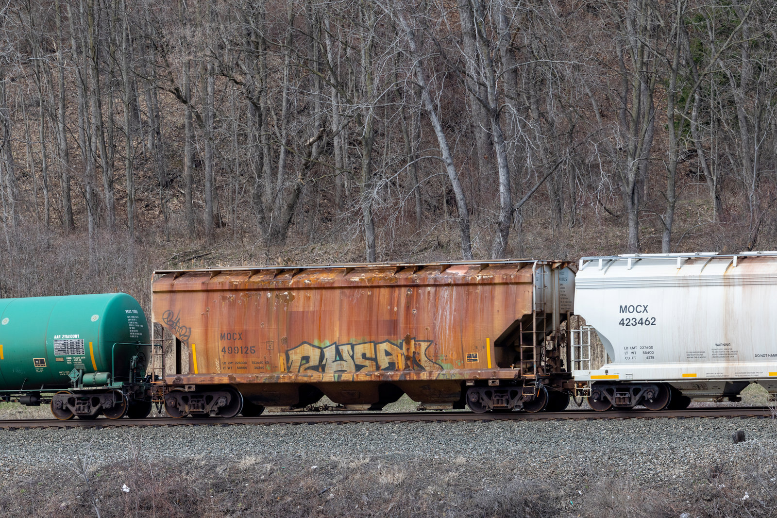 MOCX 499125