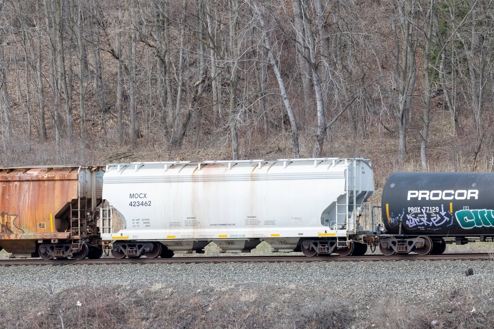 MOCX 423462
