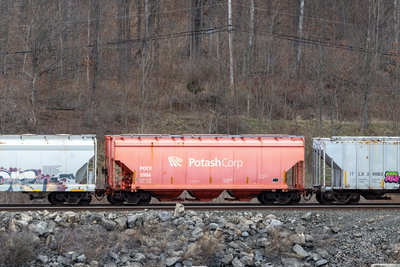 POTX 2006