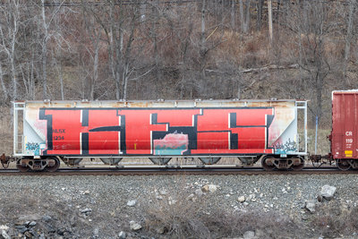 NLSX 1234