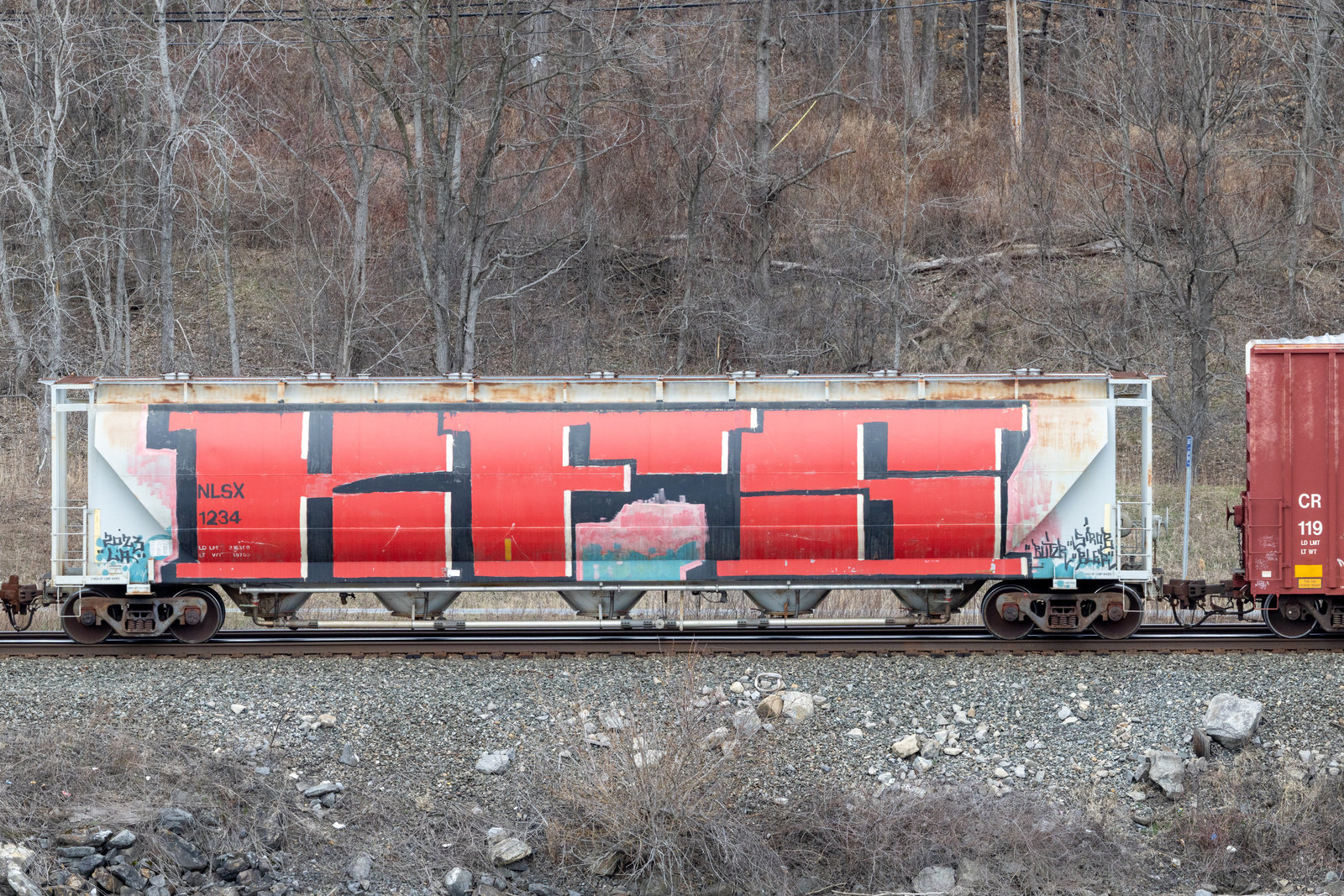 NLSX 1234