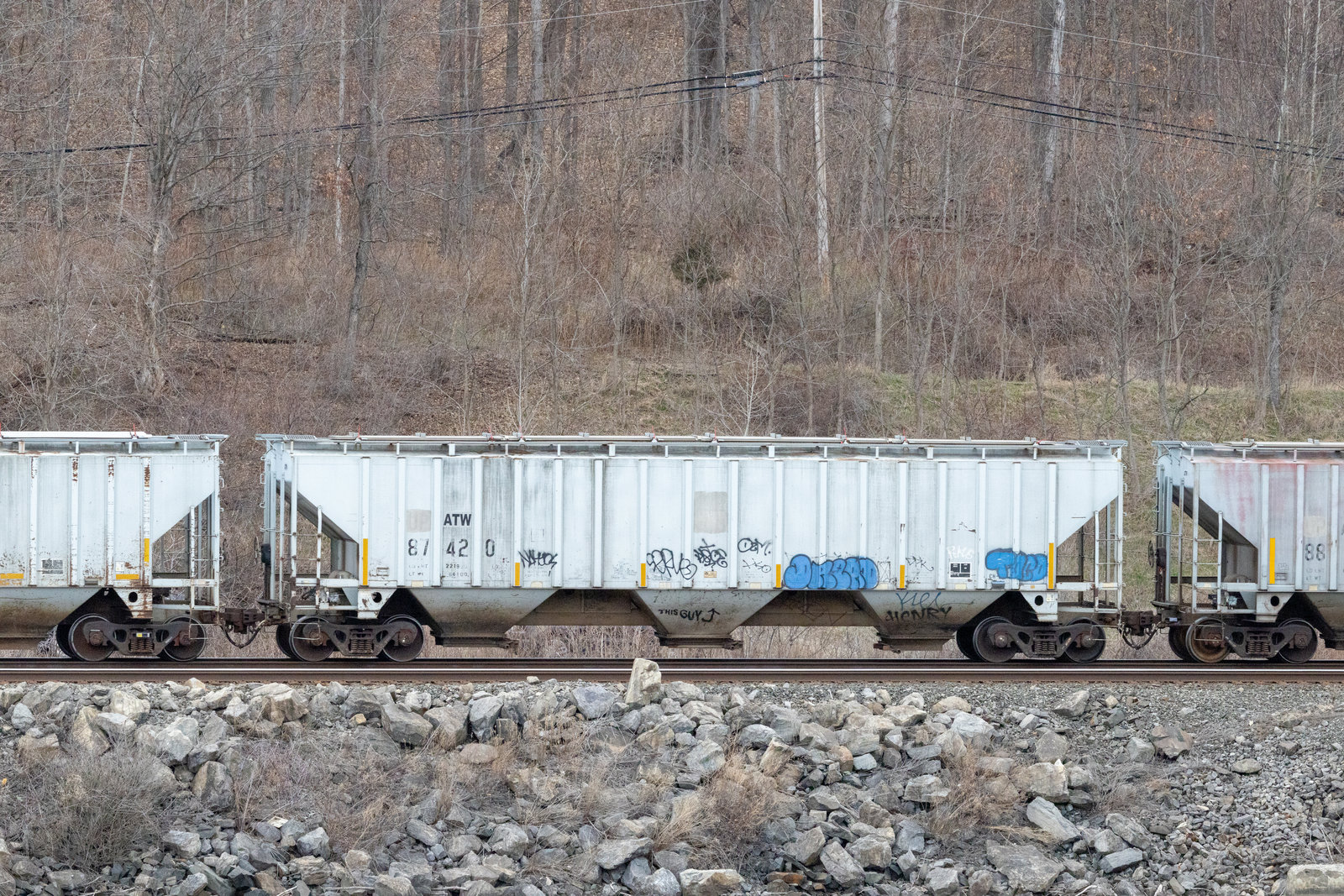 ATW 87420
