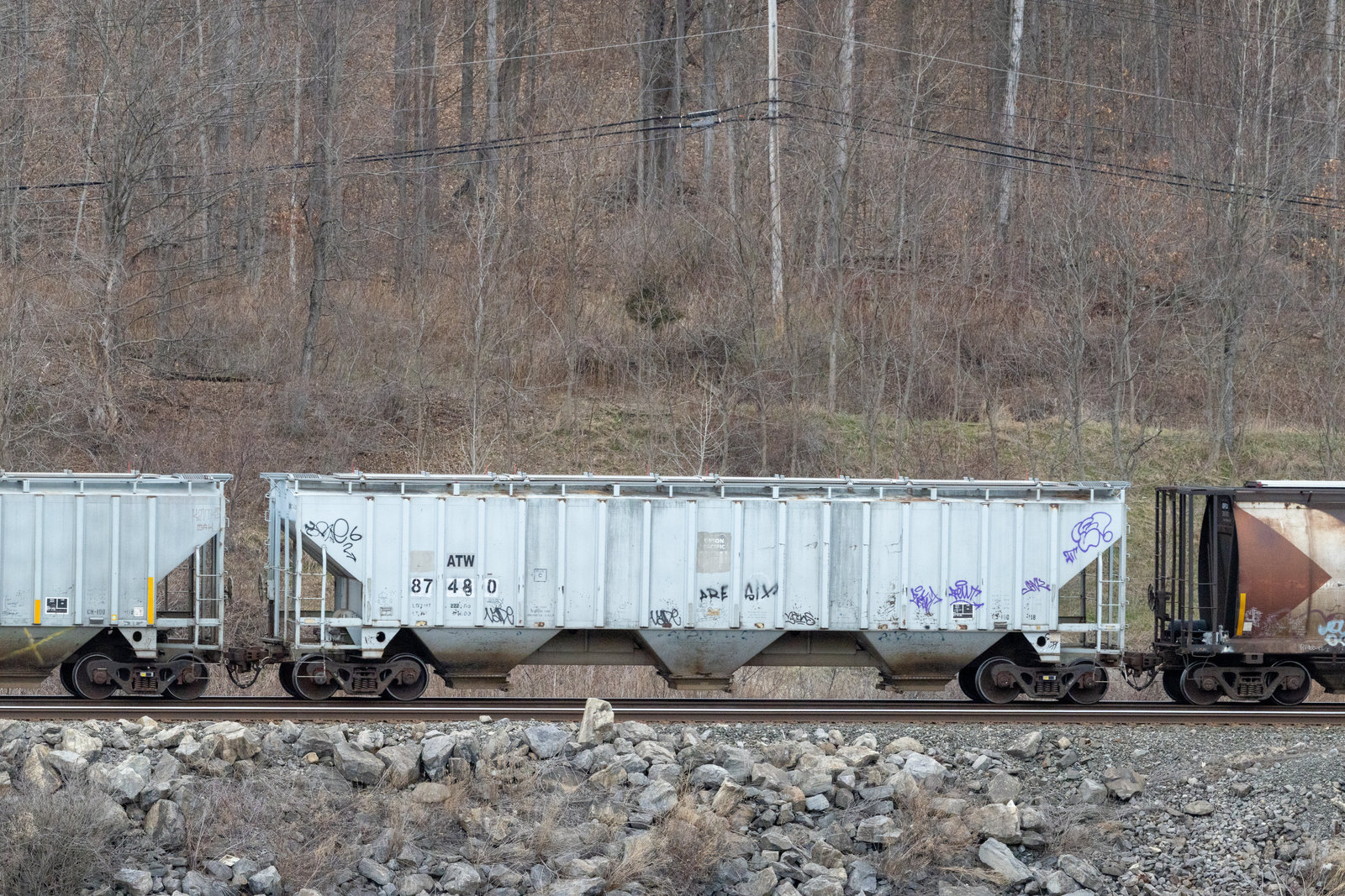 ATW 87480