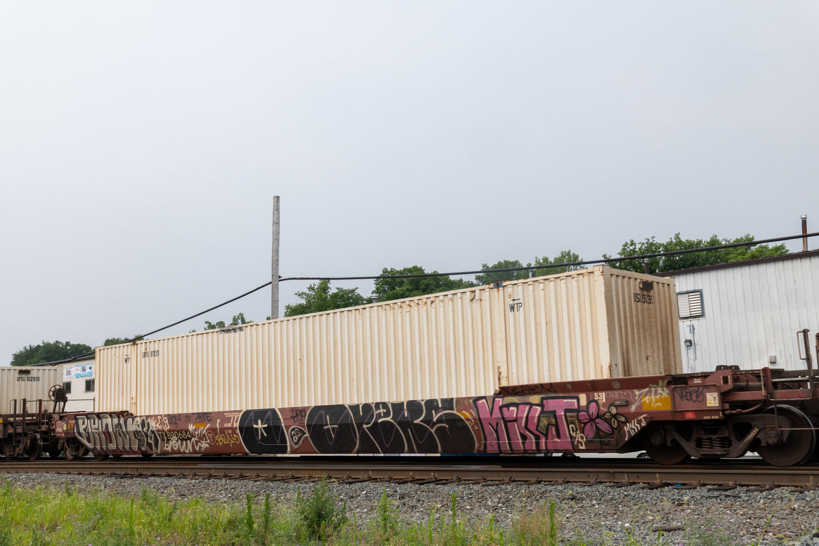 DTTX 890684