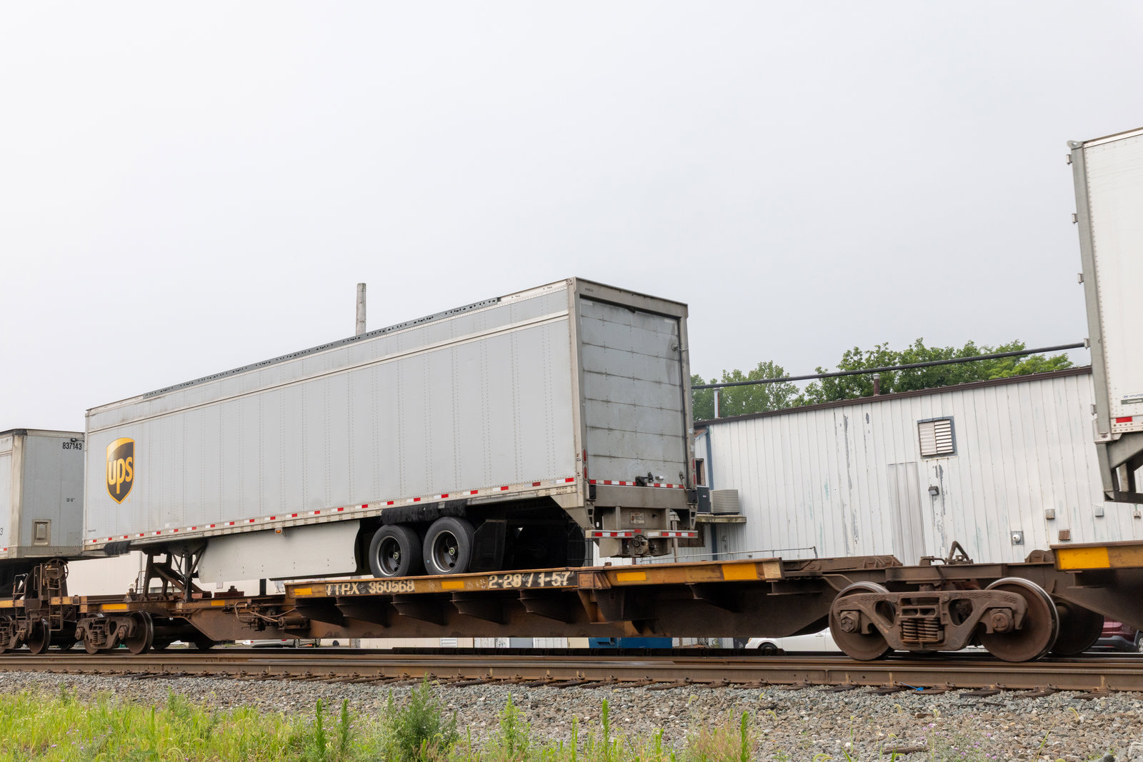 TTRX 360568A
