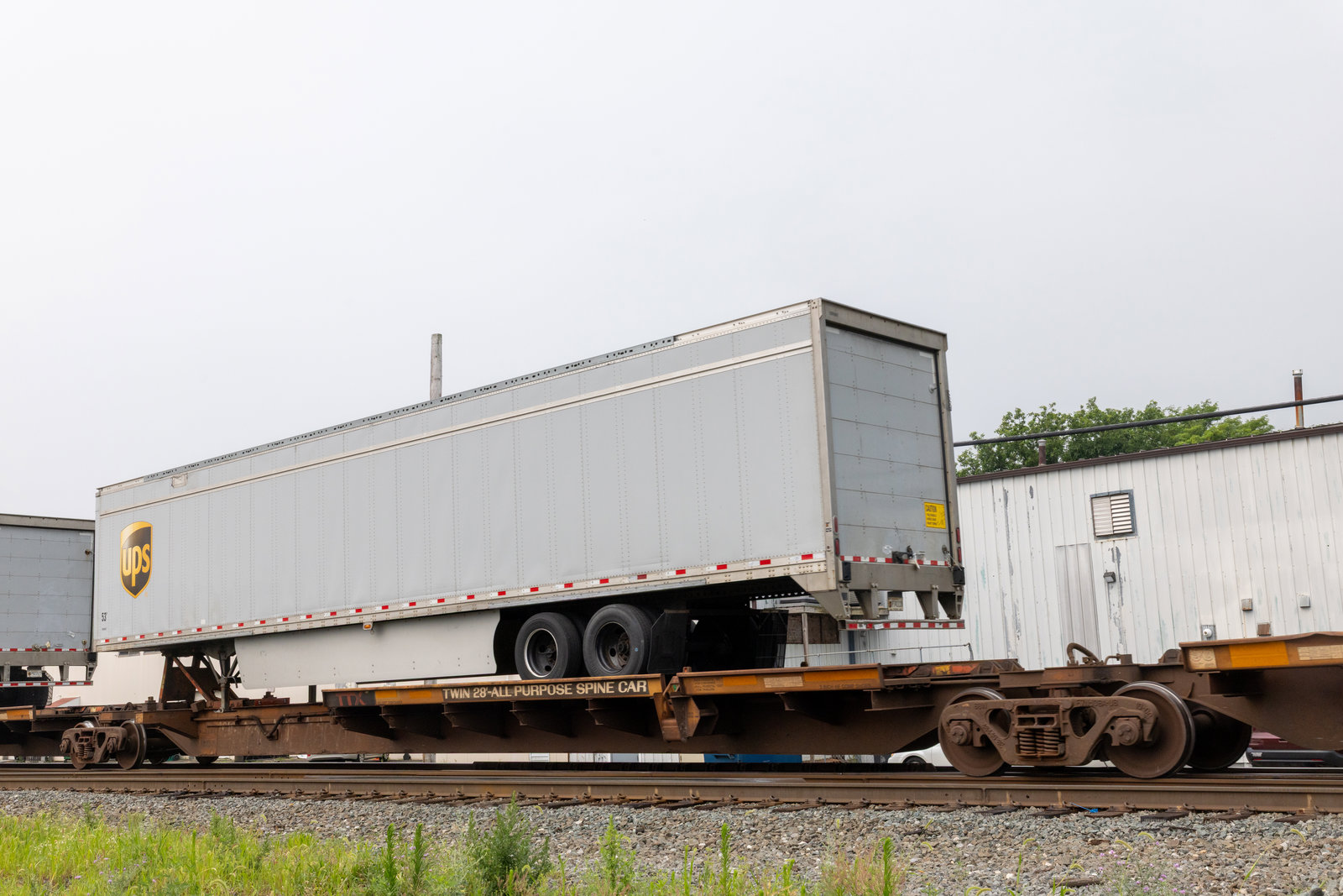 TTRX 361053C