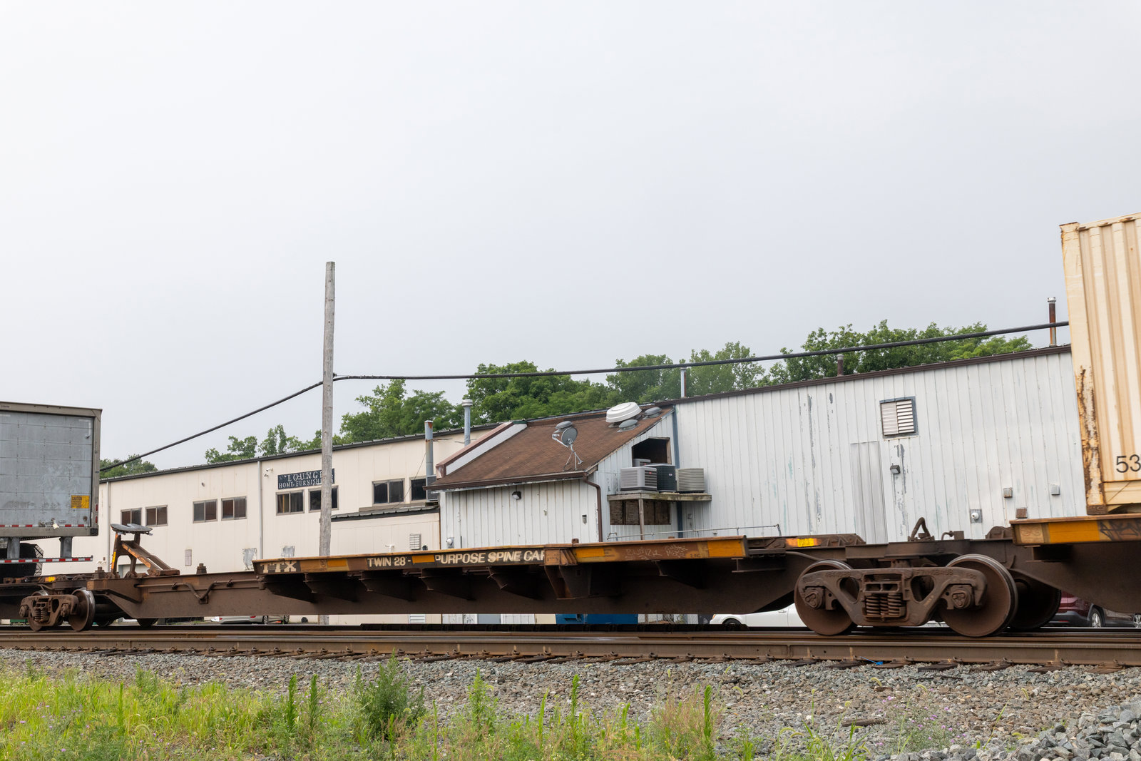TTRX 360259C