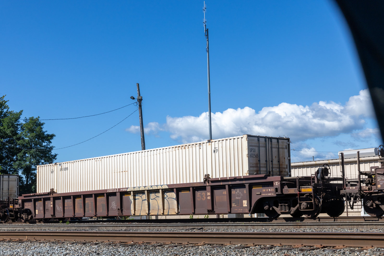 CP 527834