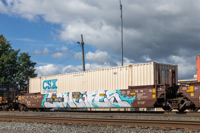 DTTX 895163B