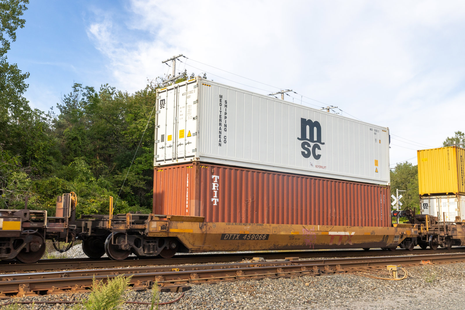DTTX 459066