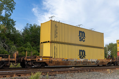 DTTX 458896