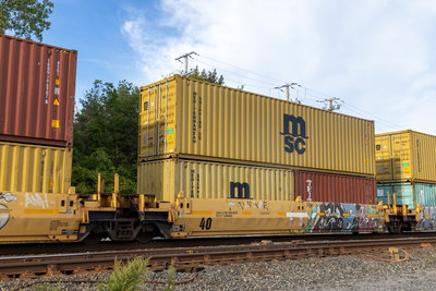 DTTX 74709D