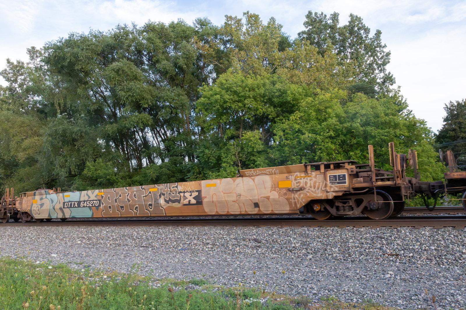 DTTX 645270