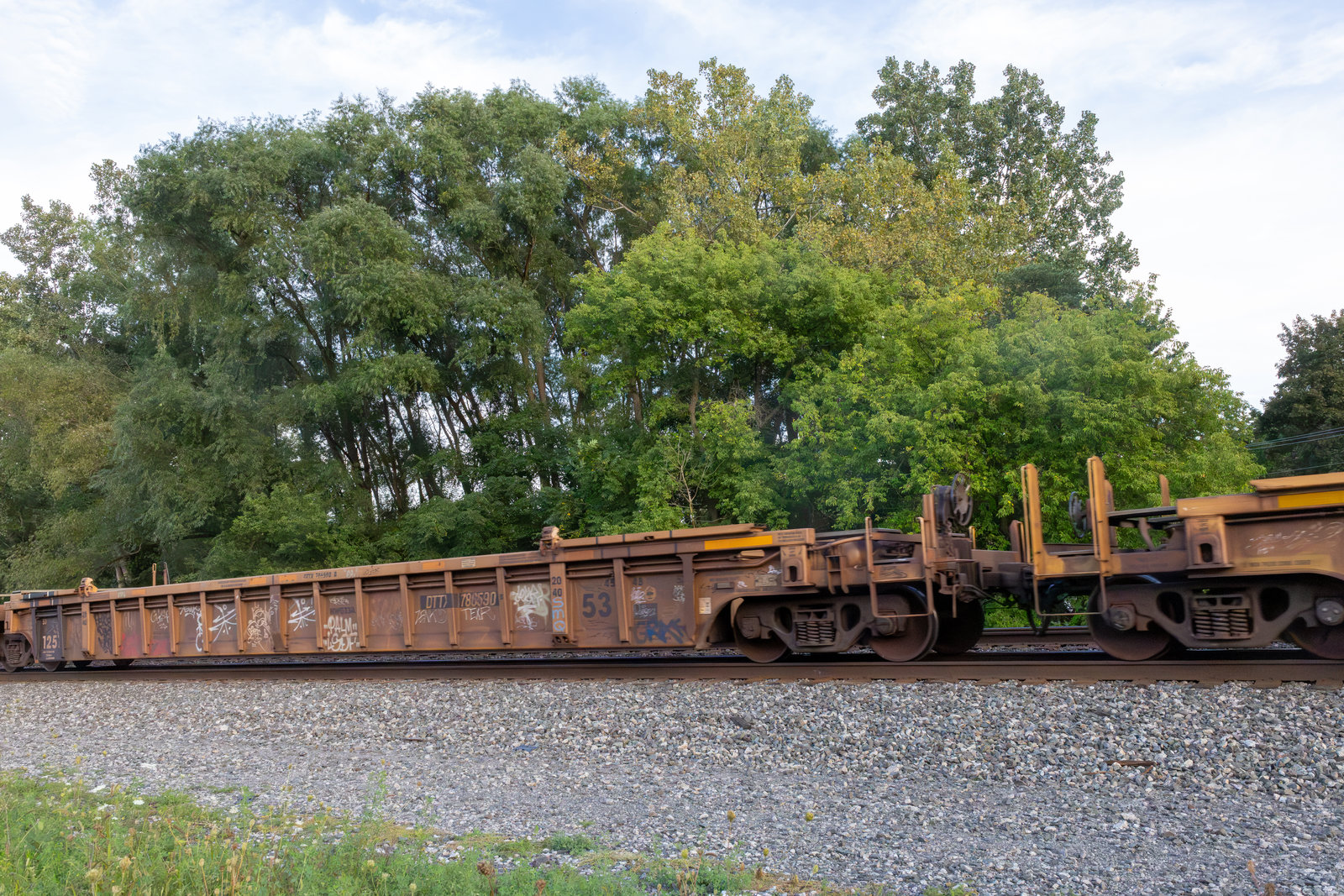DTTX 786590B