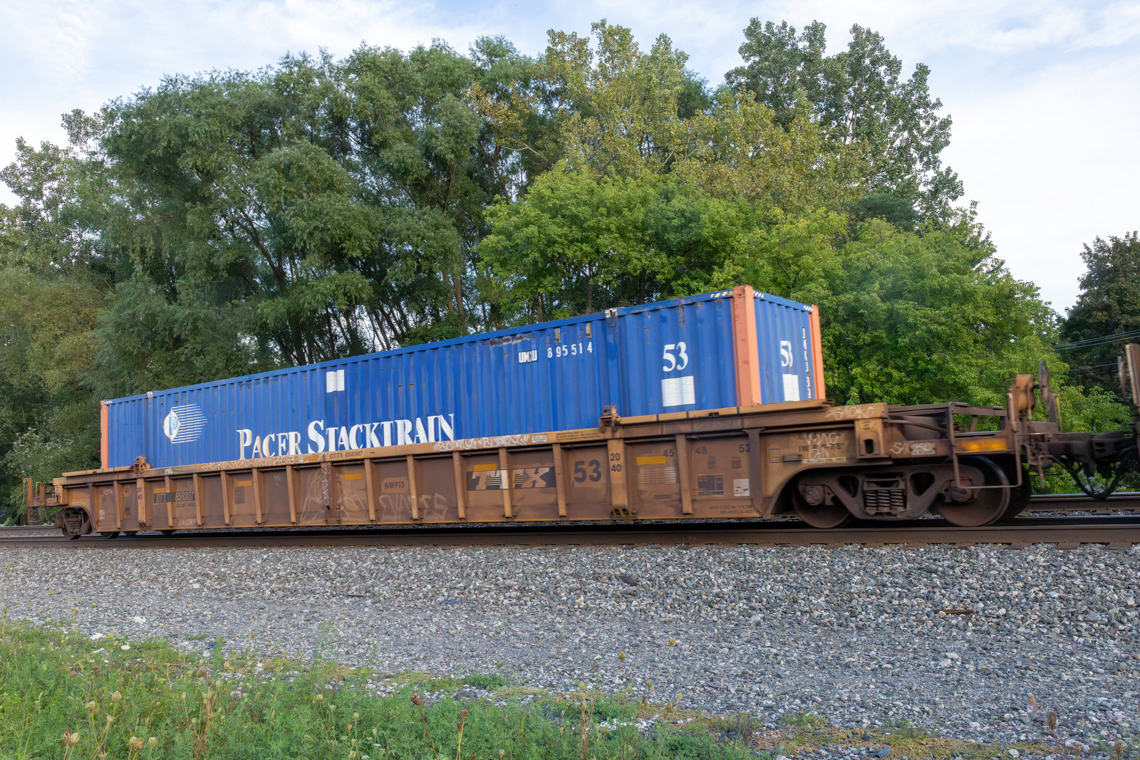 DTTX 658307