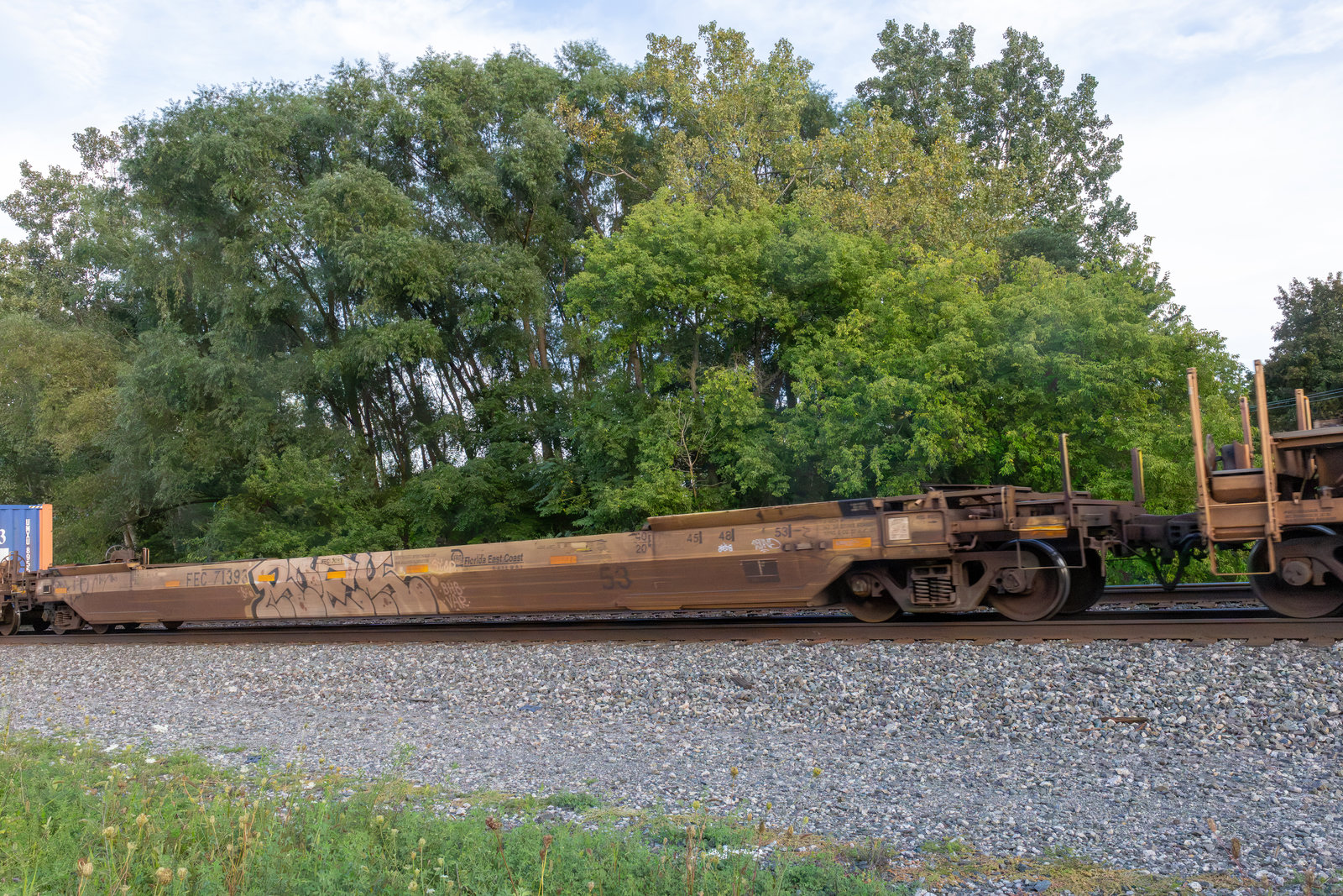 FEC 71393