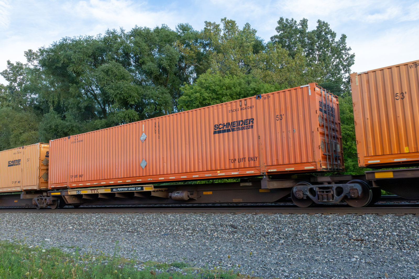 TTAX 554197D