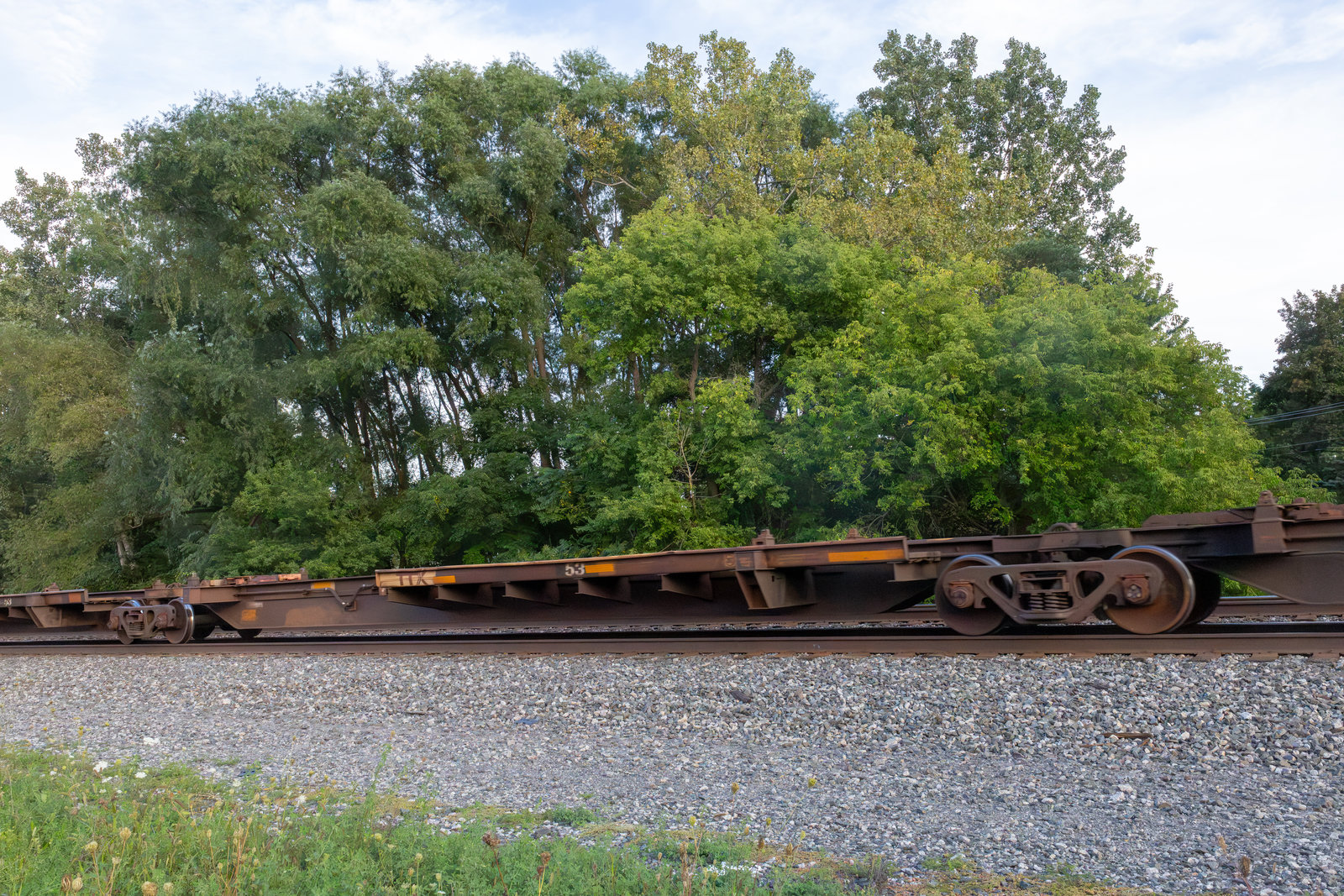 TTAX 555235C