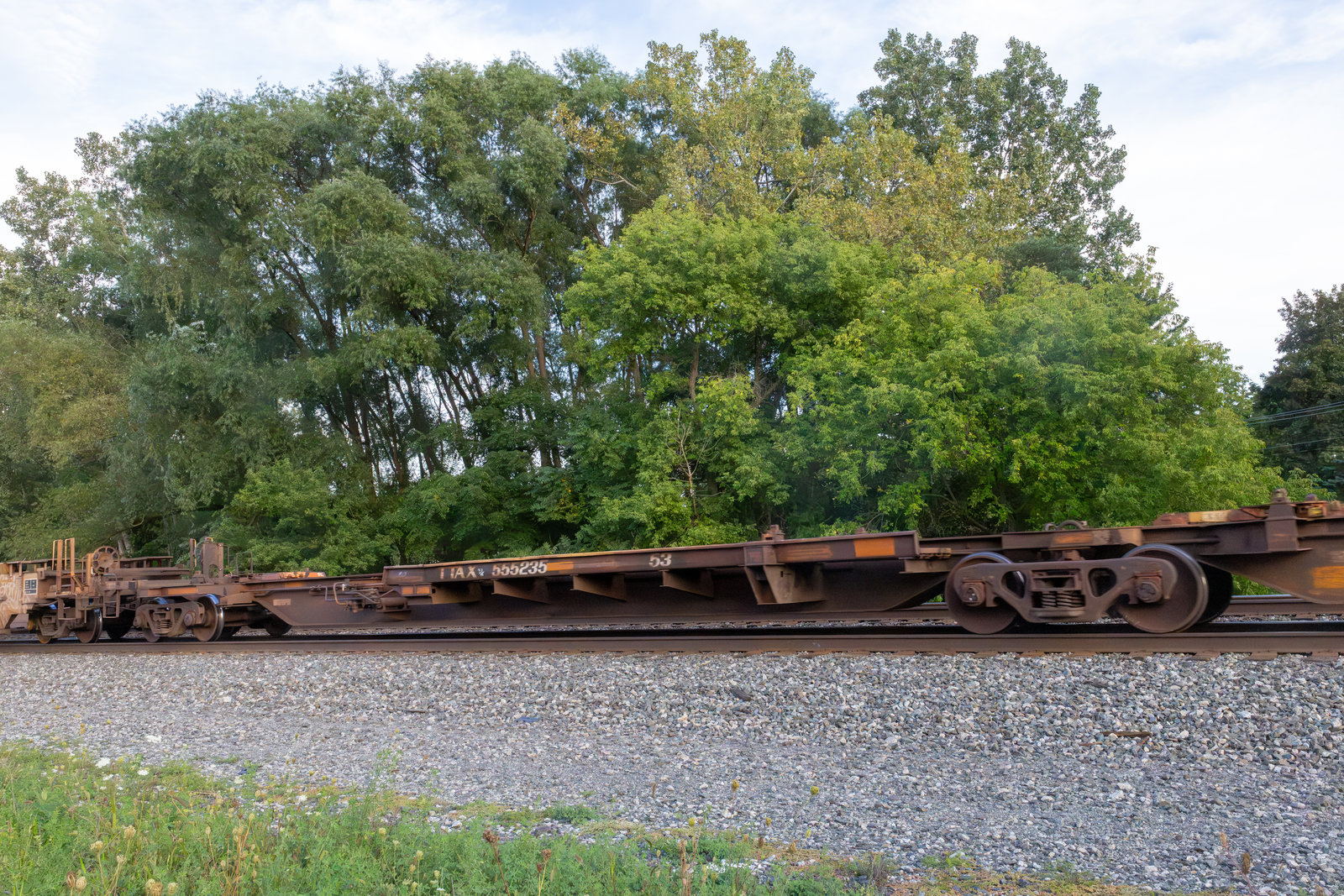 TTAX 555235B