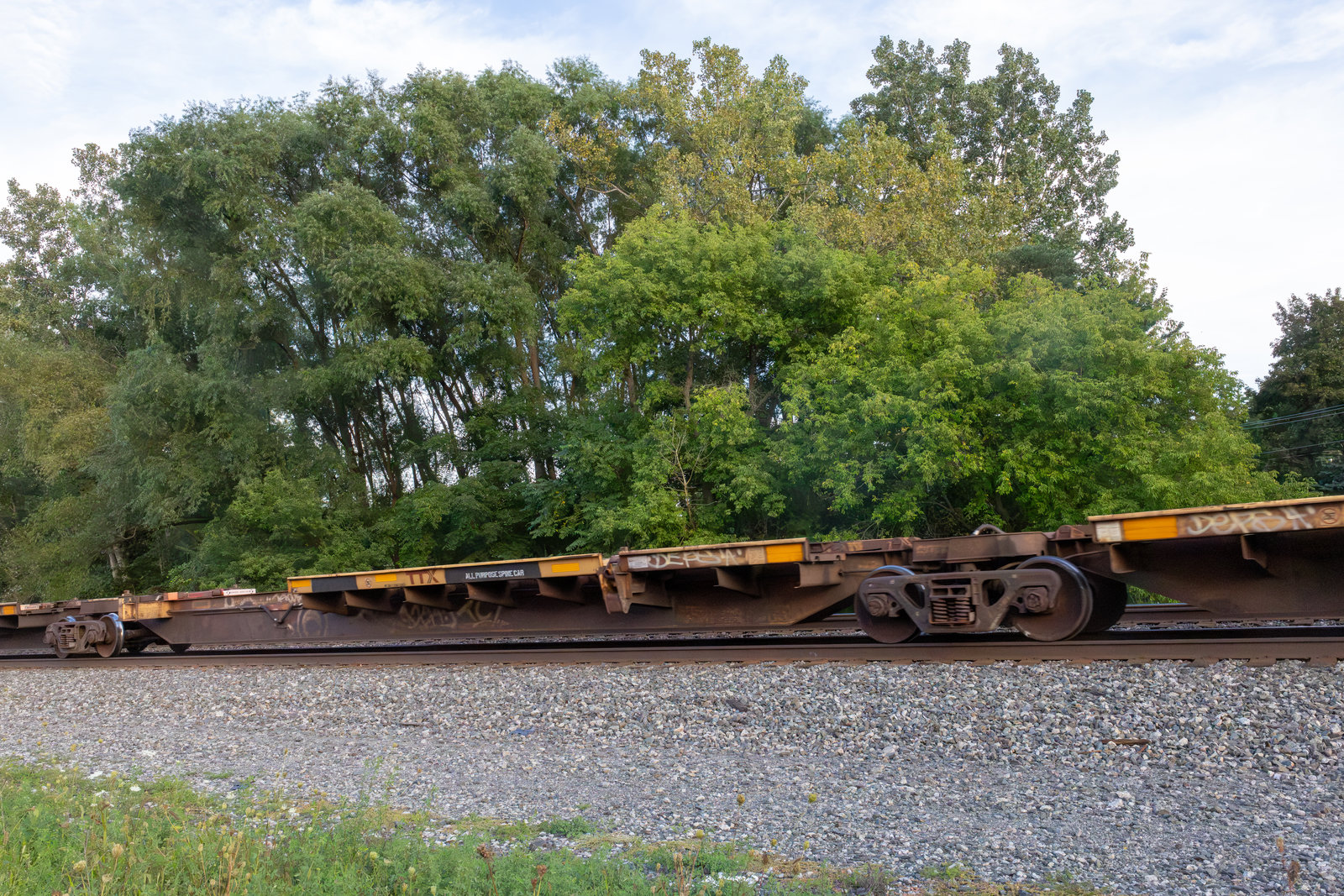 TTRX 370974C