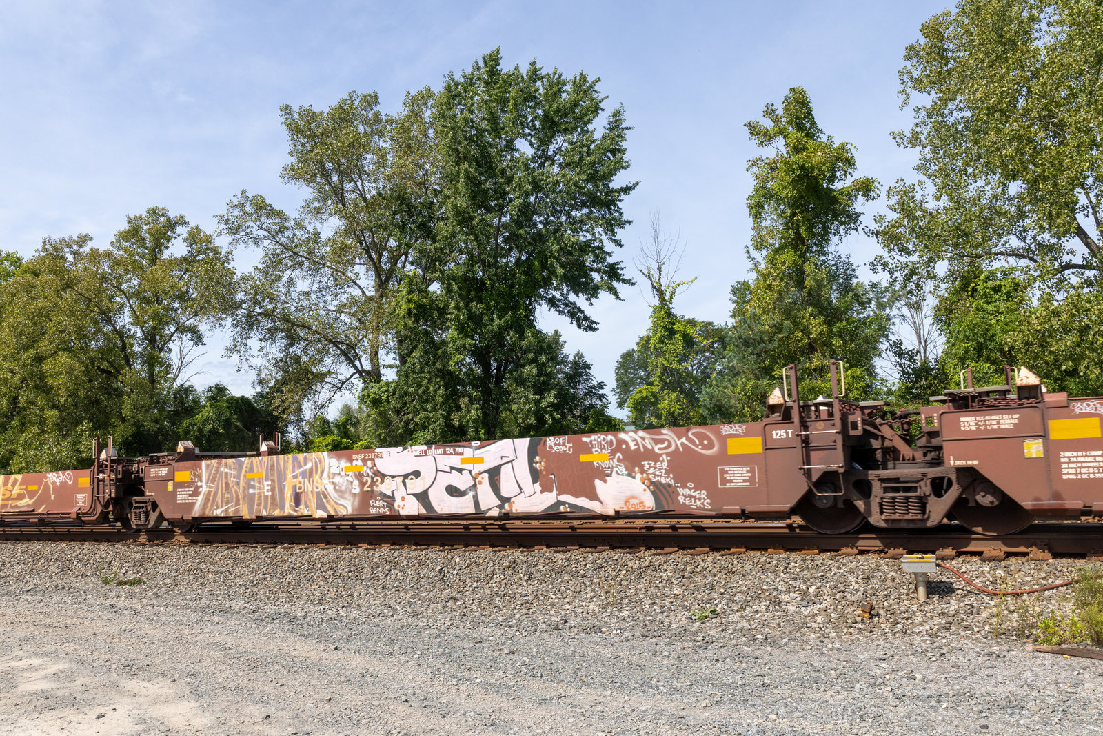 BNSF 239791E
