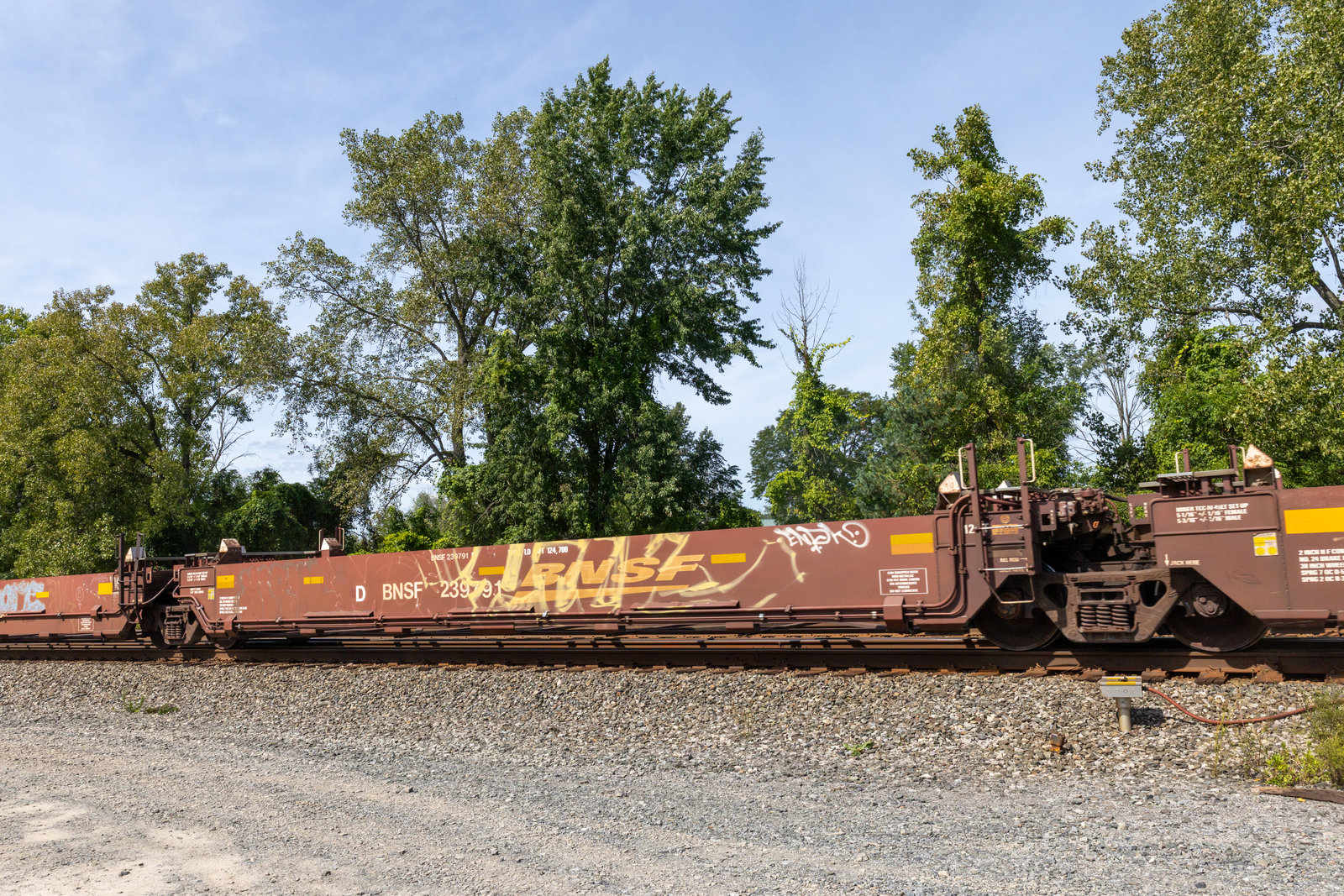 BNSF 239791D