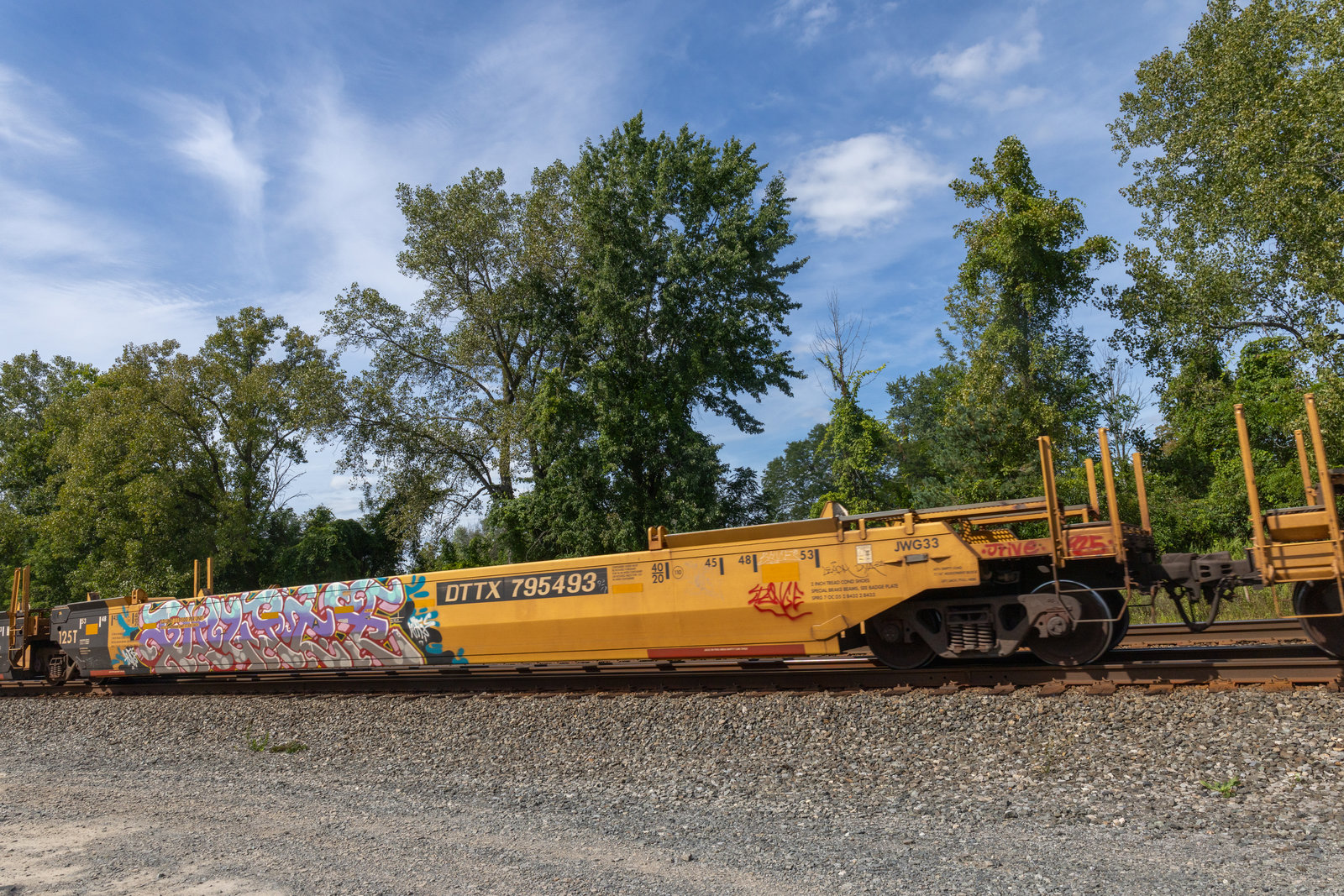 DTTX 795493A