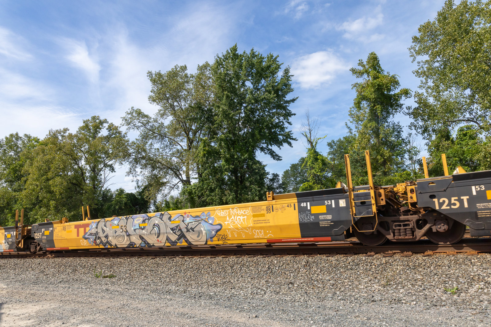DTTX 795493C