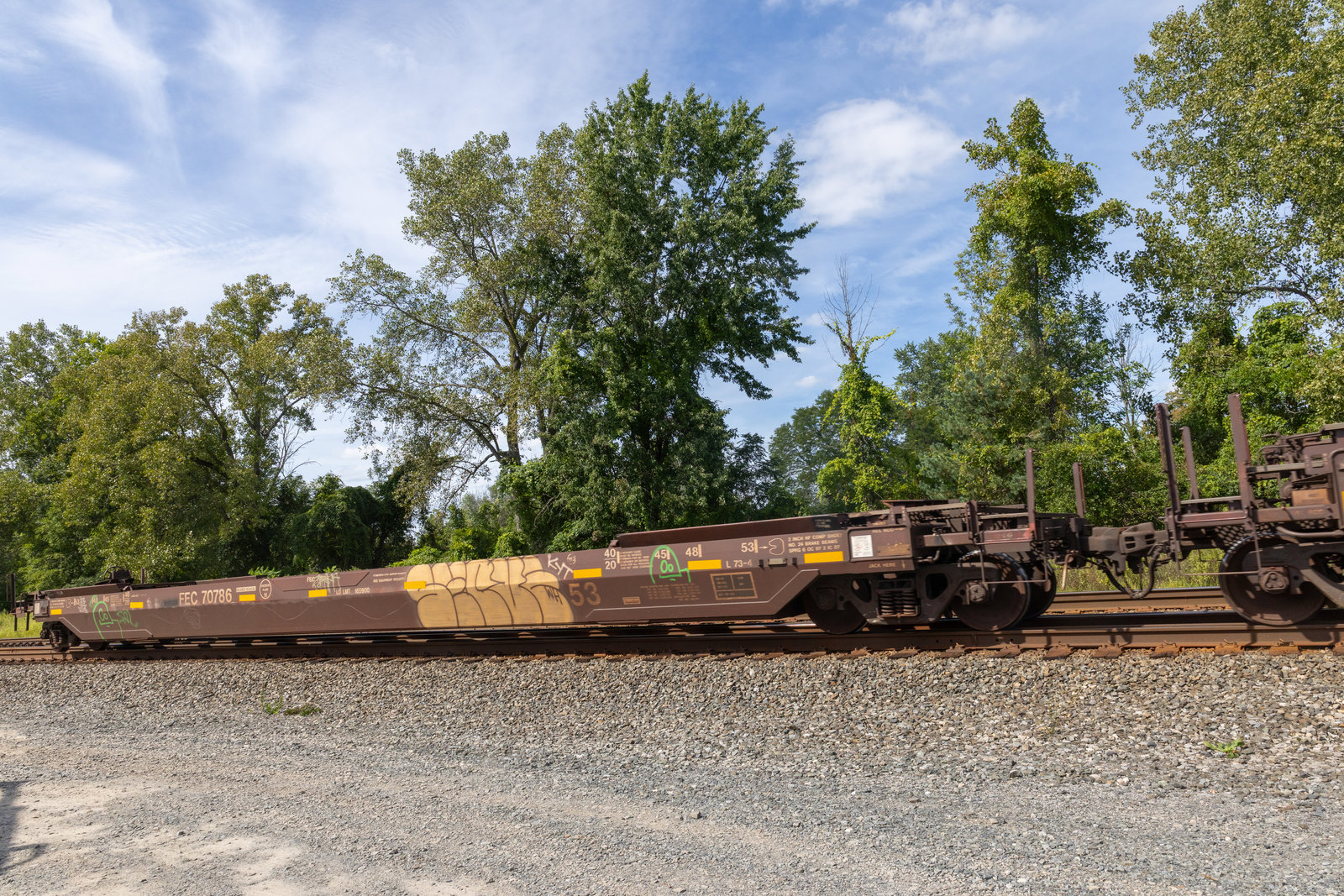 FEC 70786