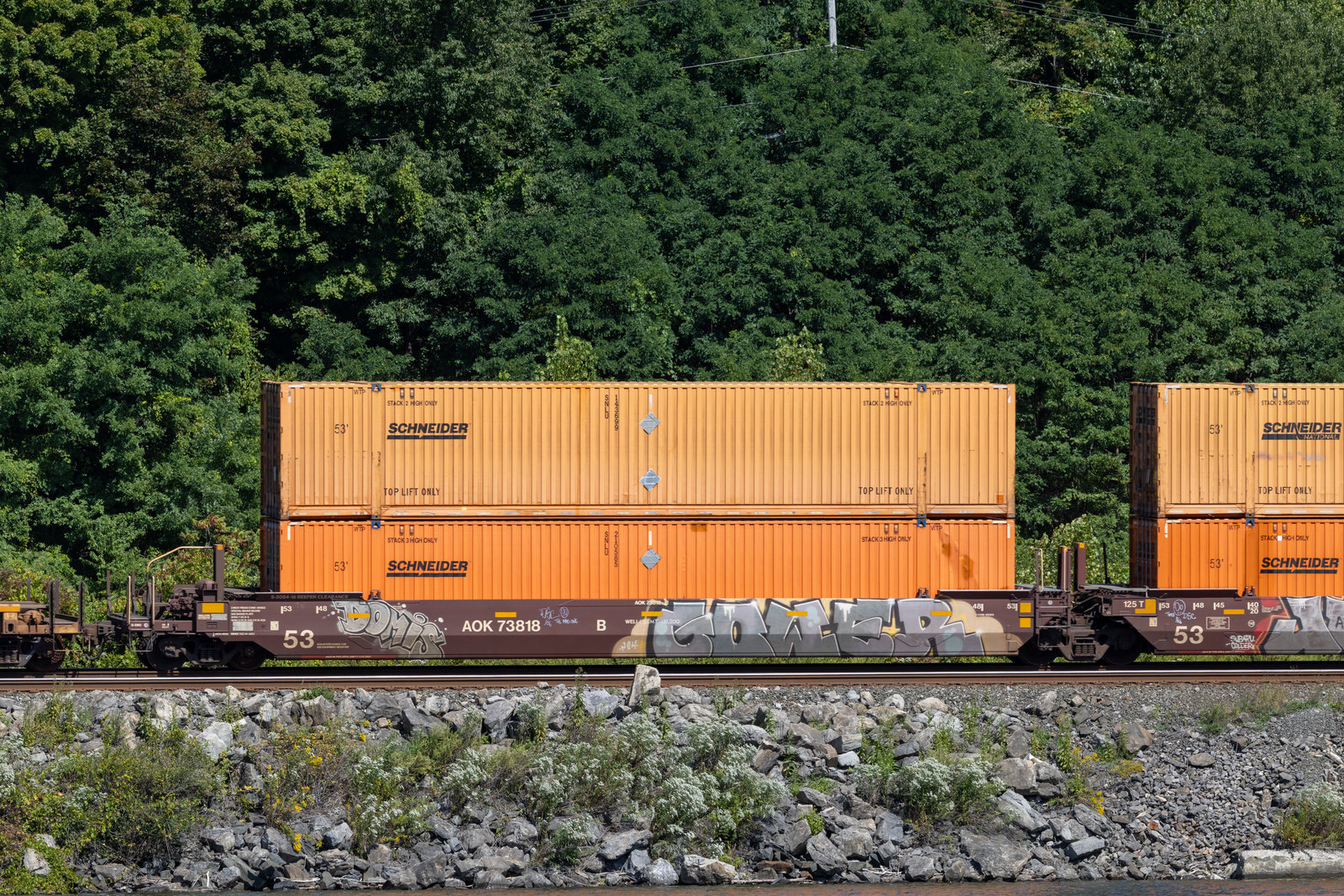 AOK 73818B