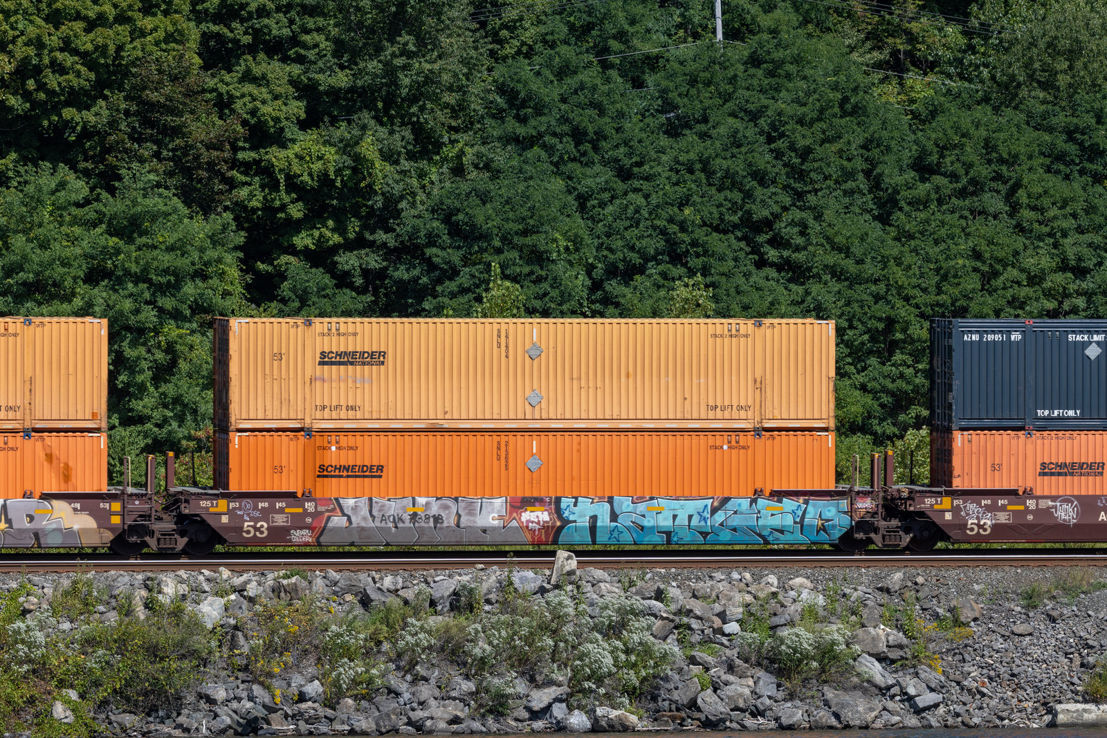 AOK 73818C