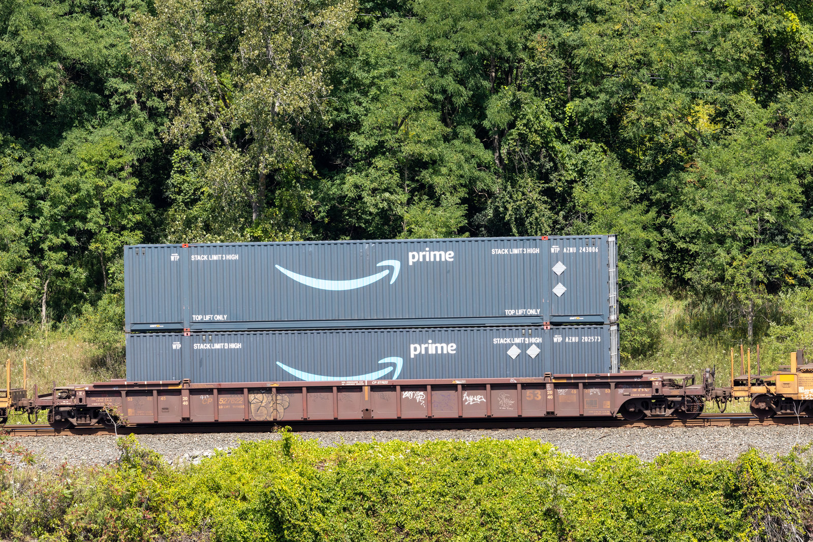 CP 527622