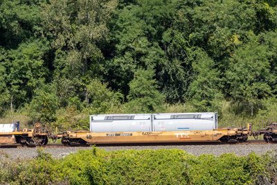 DTTX 455017