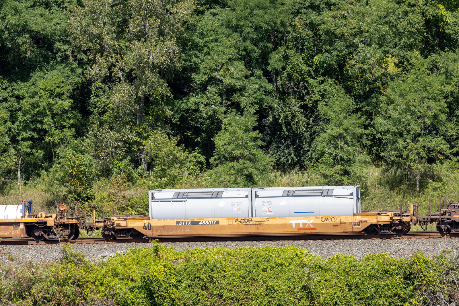 DTTX 455017