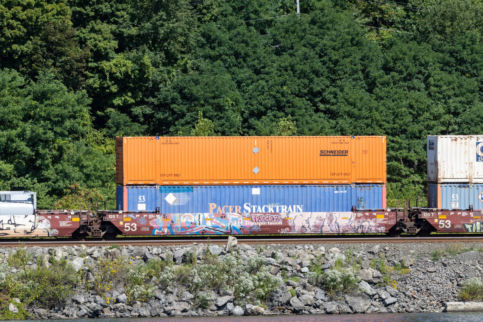 DTTX 890510C