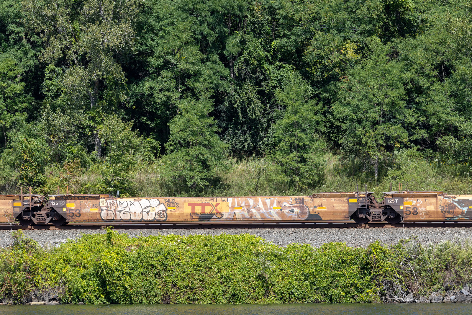 DTTX 723911C