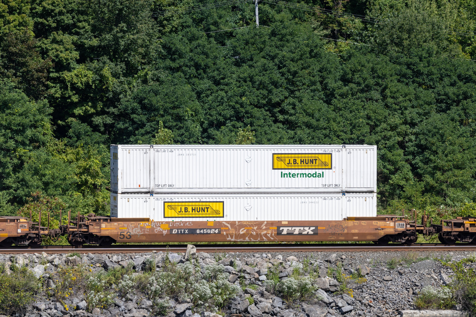 DTTX 645624