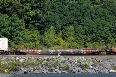 DTTX 890682