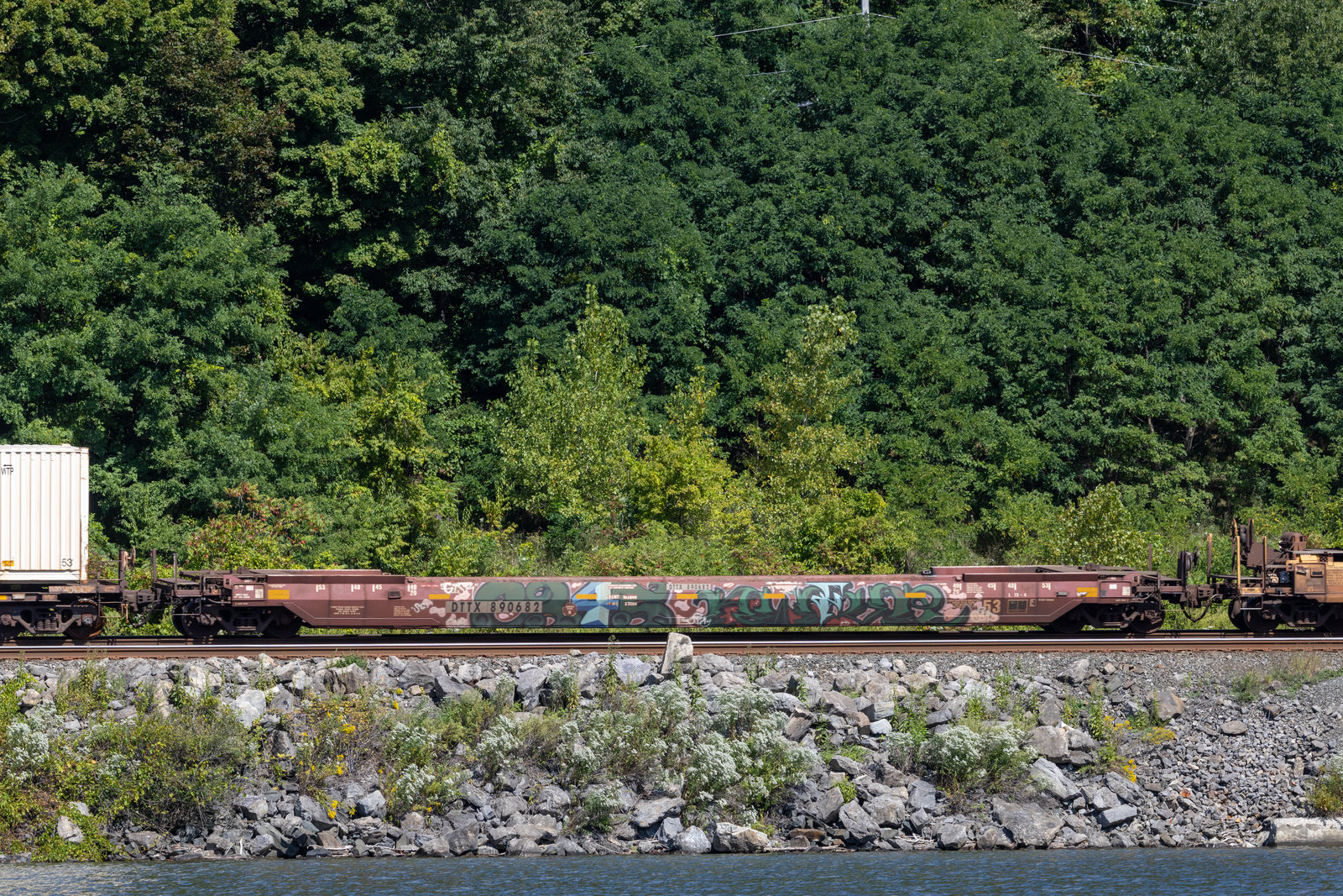 DTTX 890682