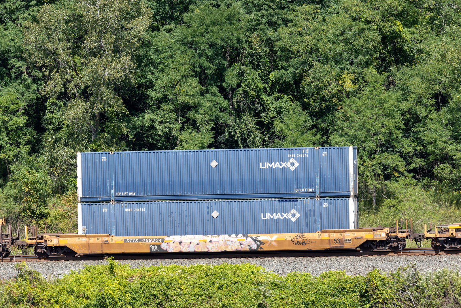DTTX 469304